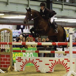Arturo 9 - Jumping Stallion