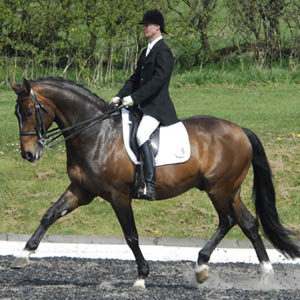 Frou Frou D`nchin - Dressage