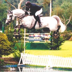 Hickstead