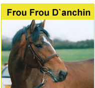 French Horse - Frou Frou D`anchin