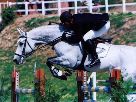 International Showjumper