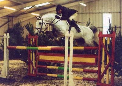 International Showjumper