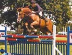 International Showjumper