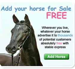 Reining Horses For Sale