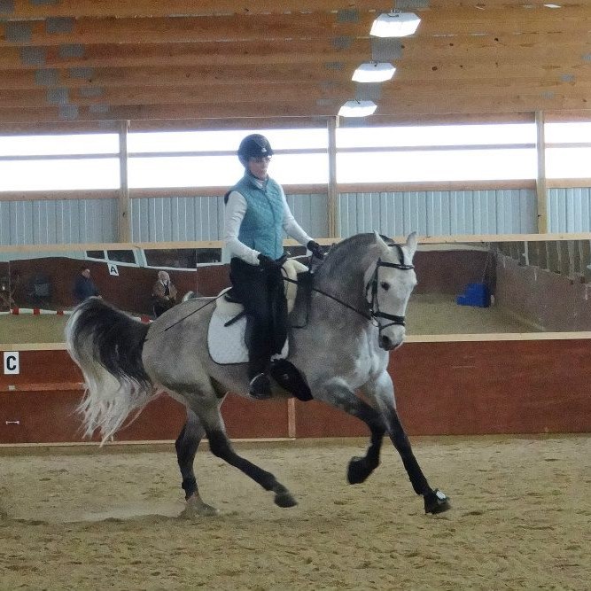 Julie Pellerin Dressage Rider