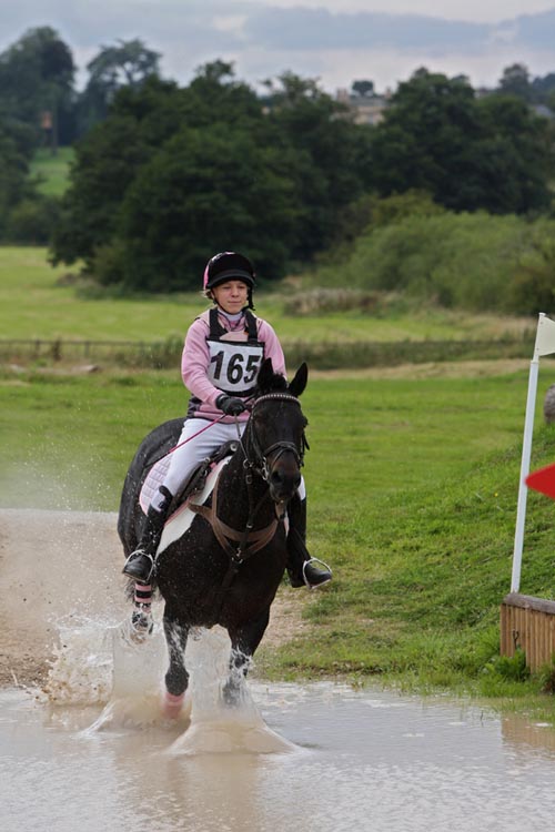 High Offley Stud Coloured Pony For Sale