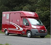 Horse Boxes For Sale - Horsebox, Carries 1 stall with Living - Wiltshire                                                   