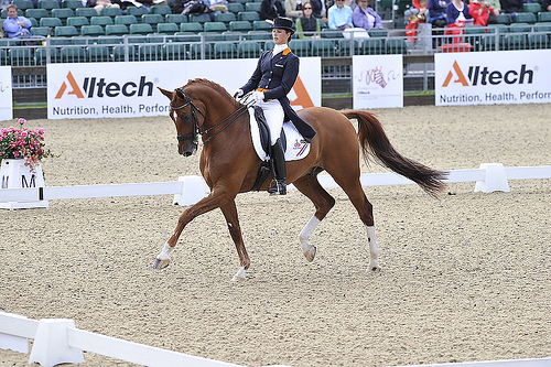 Adelinde Cornelissen                                                            