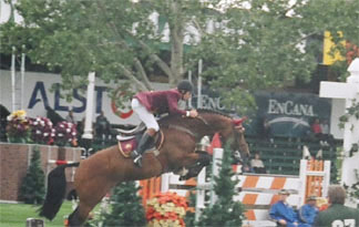 Nick Skelton Arko III