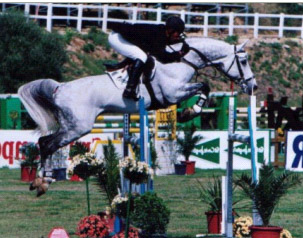 Showjumping