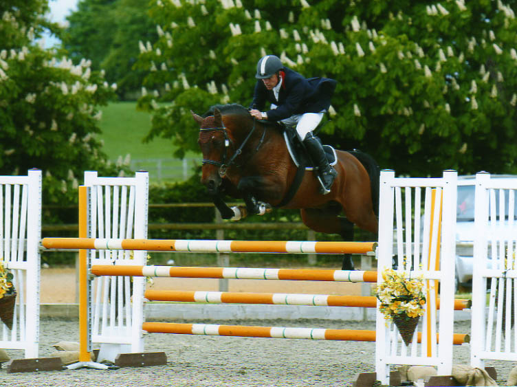 Arturo 8 - Hickstead