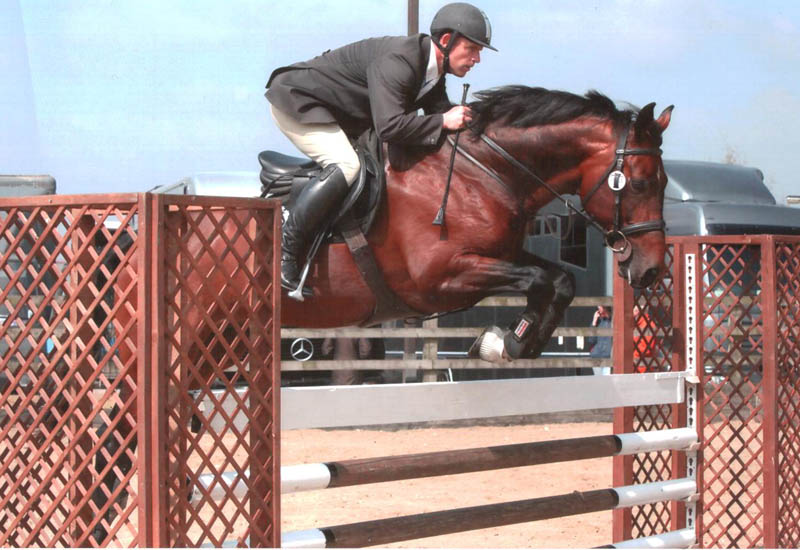 Robert Bevis - Showjumper