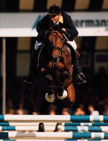 Show Jumper - Aventyno