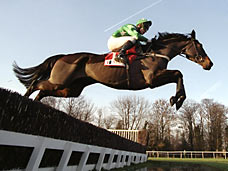 Race Horse Barton Bank                                                                                                                                                                                                                                         