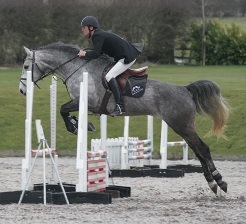 Showjumper