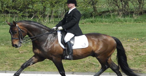 Dressage News