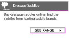 Dressage Saddles