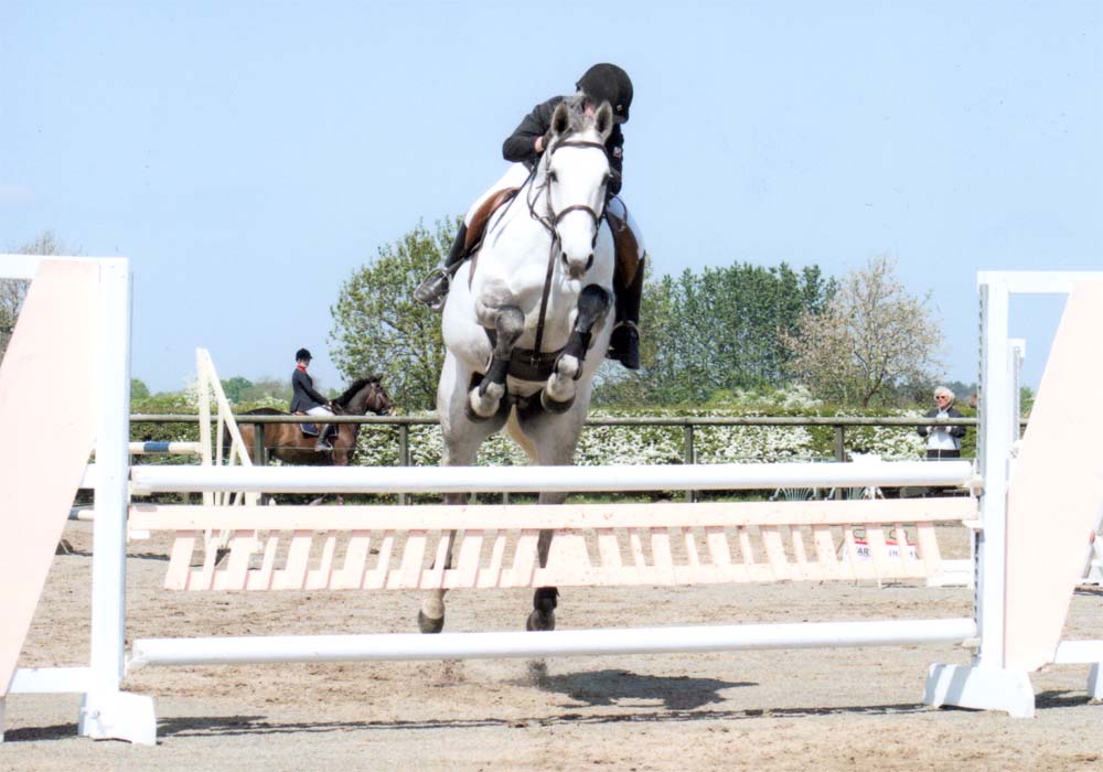 Showjumper Eighteen