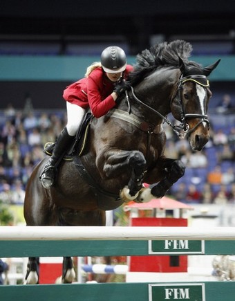 Ellen Whitaker Showjumping Stallion Locarno