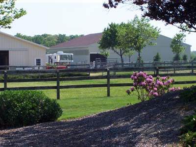 Equestrian Property For Sale
