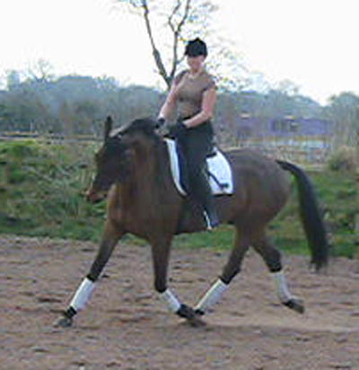 Horse Youngsters For Sale