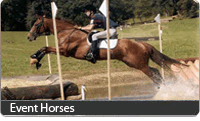 Eventing Horses Database