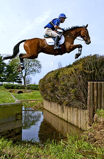 Eventing Horses