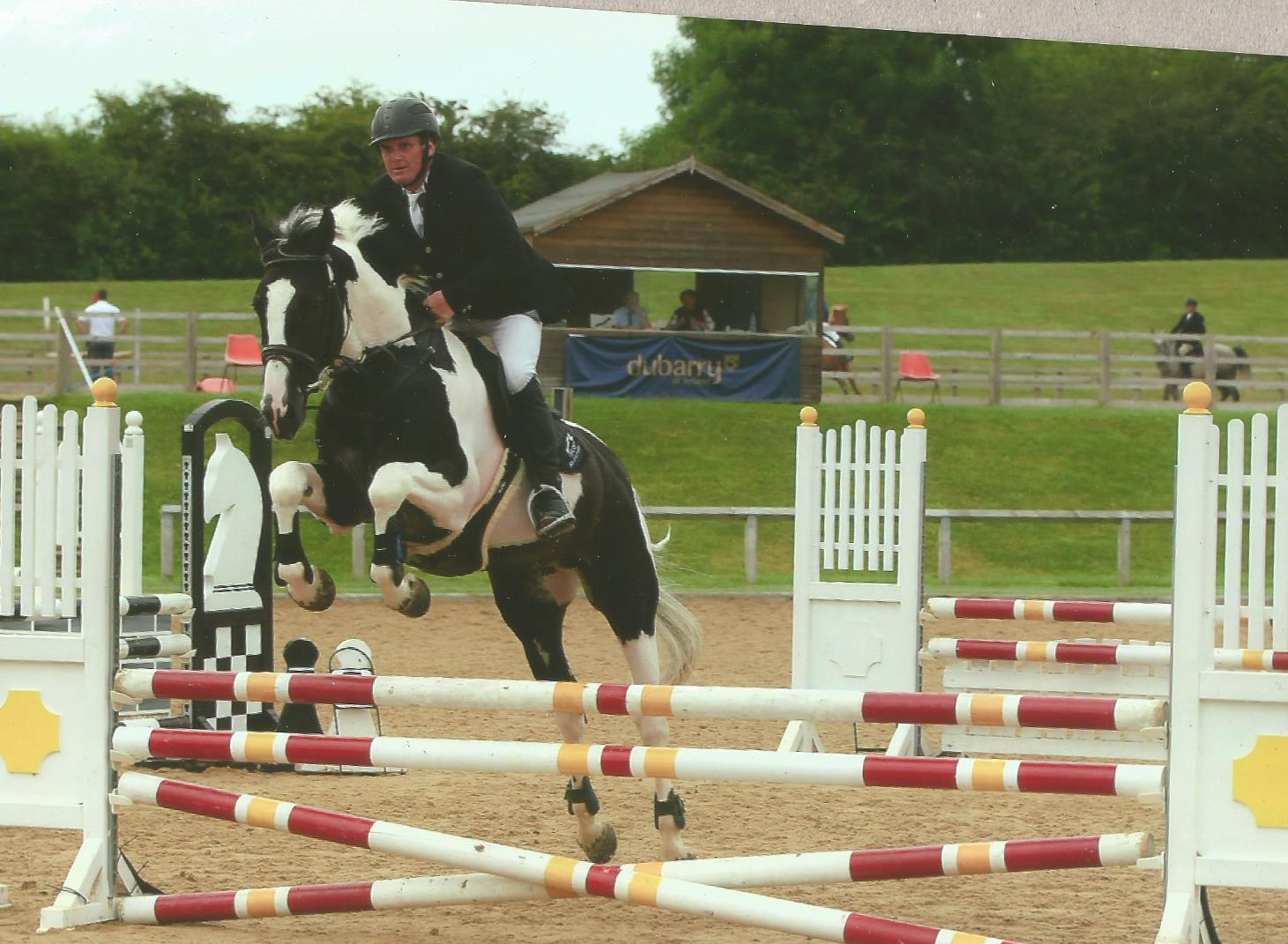 Showjumping  Stallion by Kannan