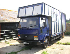 Horse Boxes For Sale - Ford Cargo 0813                                                                                     