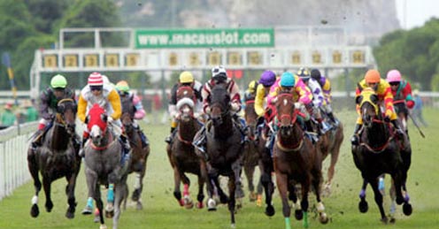 Horse Racing News