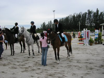 Horse Shows