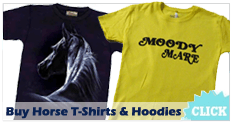 Horse T-Shirts