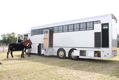 Horse Boxes For Sale - Atacanter Horseboxes                                                                                