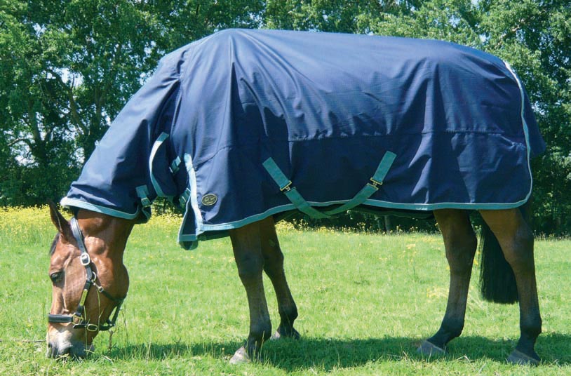 Mark Todd Lightweight Combo Turnout Rug                                              