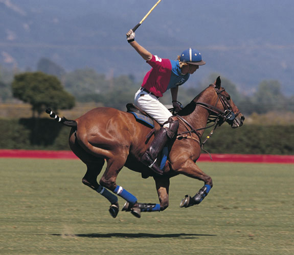 Polo On Horses