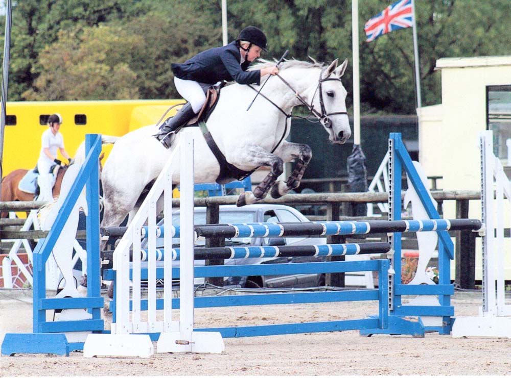 Stable Express Show Jumping Training
