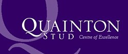 Quainton Stud