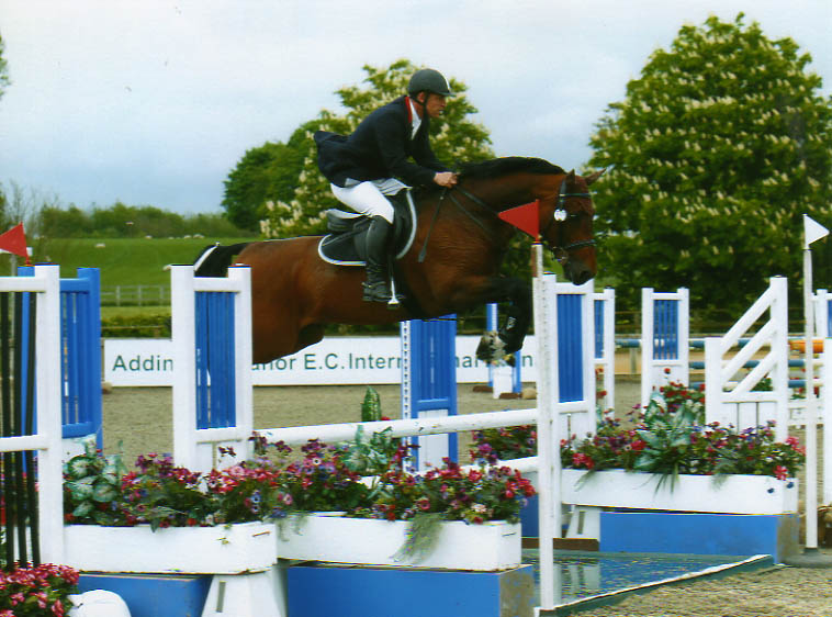 Show Jumping Horses
