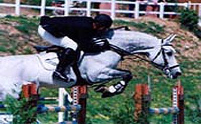 Showjumping Training