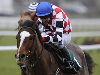 The-Giant-Bolster-Cheltenham