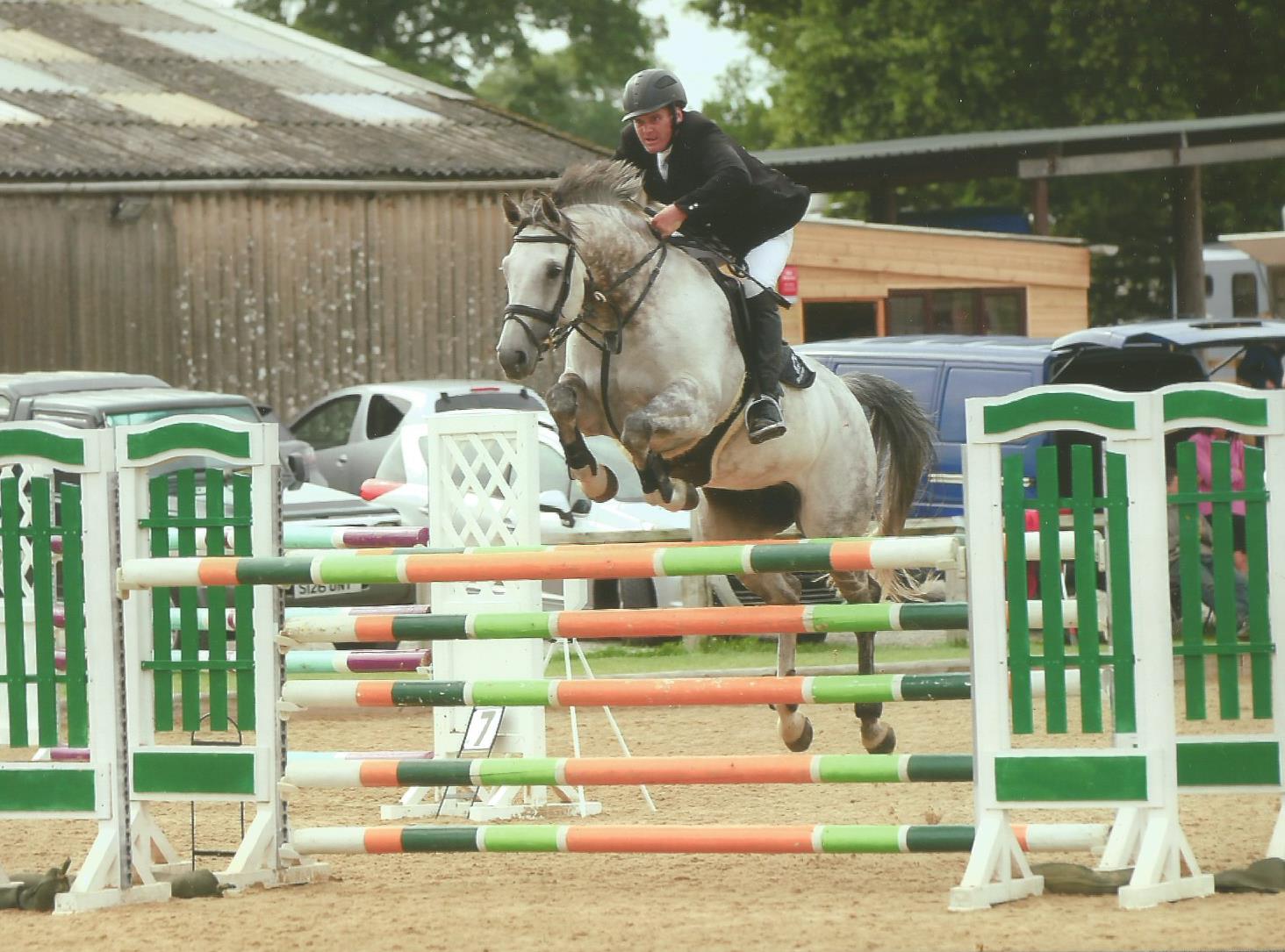 Showjumping Horses