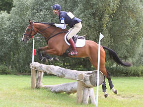 William Fox-Pitt                                                                