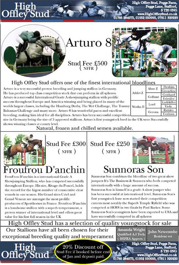 High Offley Stud - Sport Horse Stallions