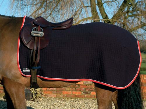 Horse Excersise Sheet
