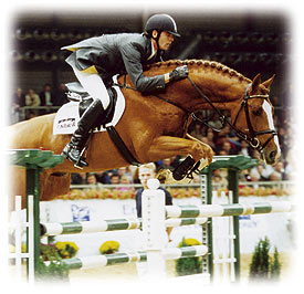 Ludger Beerbaum Showjumping Stallion Couleur Rubin