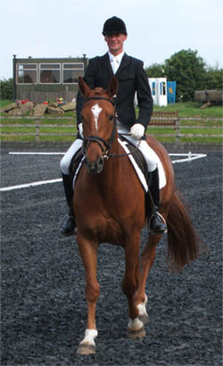 Breaking, Dressage Training