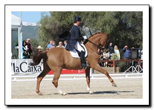 Carl Hester & Dolendo