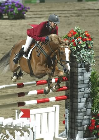 Showjumper Kansellier & Ellen Whitaker