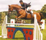 Show Jumping Mare