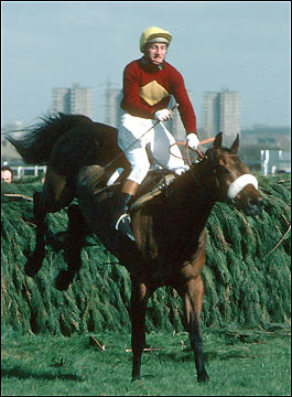 Race Horse - Red Rum                                                                                                                                                                                                                                           